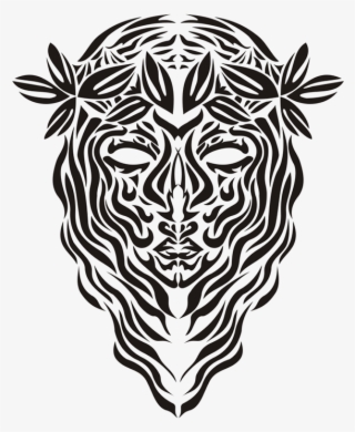 Vector Study