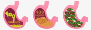 Full Stomach Cliparts - Oil In Stomach Vs Vegetables
