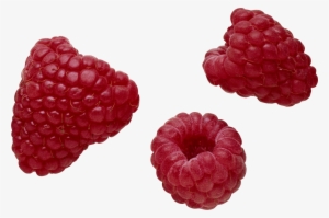 Rraspberry Png Image - Raspberry Png