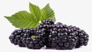 Black Raspberries Png Hd - Dinner Lady Blackberry Crumble