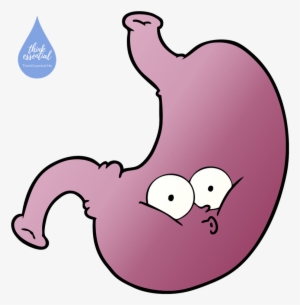 A Visit From The Bug Thinking Essential - Estomago Malo Caricatura