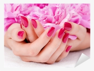 Woman Cupped Hands With Manicure Holding A Pink Flower - Classic Manicure And Pedicure