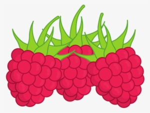Raspberries - 0shares - Seedless Fruit