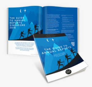 What Is The Guide To Annual Reports - Black Sun Plc