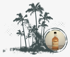 Peach Palms