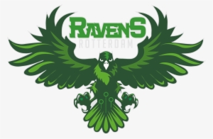 New Quidditch Kit Revealed For The Ravens - Art Print: Reflux's Raven, 61x41cm.