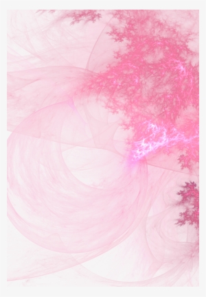 John Pirillo - Floral Design