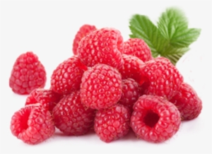 Standard Packaging - 8 Weeks Pregnant Baby Size