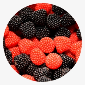 Haribo Raspberries Gummi Candy - Haribo Gummi Raspberries