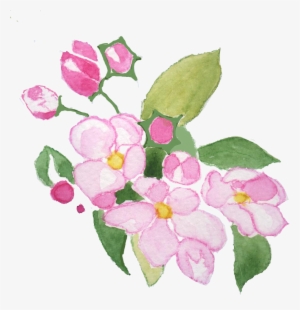 I'd Love To See Your Photos Of Them If You Do - Periwinkle