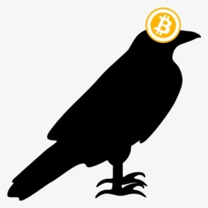 About Crypto Ravens - Common Raven