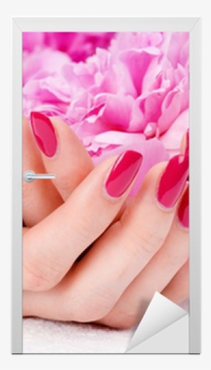 Woman Cupped Hands With Manicure Holding A Pink Flower - Classic Manicure And Pedicure