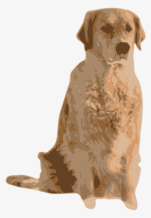 Golden Retriever Labrador Retriever Nova Scotia Duck - Golden Retriever