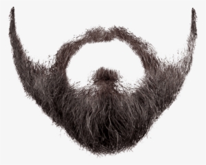 Free Png Beard And Moustache Png Images Transparent - Beard Png
