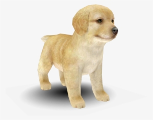 22023 - Nintendogs And Cats White Golden Retriever