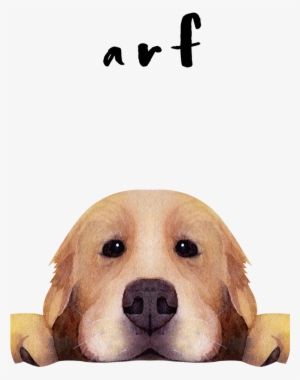 Backplate 3pb0100126l B064 De798cc1 9ae6 4368 8ed1 - Apple Iphone 8 Plus