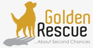 About Second Chances - Very Best Of Relaxing Classics