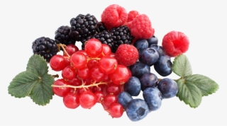 Download Berries Png Image - Berries Png