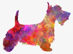 Click And Drag To Re-position The Image, If Desired - Scottie Dog Watercolor