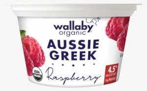 Wallaby Raspberry Organic Whole Milk Greek Yogurt - Wallaby Yogurt