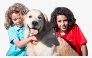 Children With Retriever Goldern - Cocker Spaniel