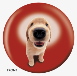 Louis Xvi (1754–1793), King Of France