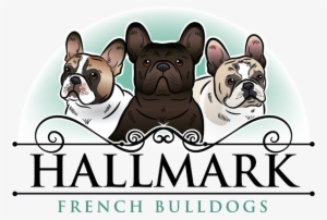 French Bulldog Logo Png