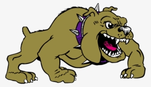 New Haven Bulldogs - Bulldog