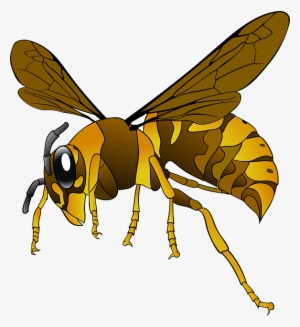 Hornet, Wasp, Insect, Bee, Brown, Yellow, Wings - Clipart Hornet