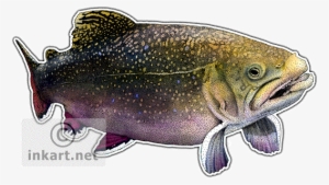 Wildlife Art - Brook Trout Throw Blanket
