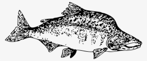 How To Set Use Pink Salmon Clipart