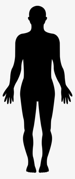 Human Body PNG, Free HD Human Body Transparent Image - PNGkit