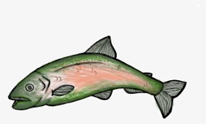 Bellingham Port Commissioner Michael Shepard Wrote - Coho