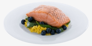 Plate - Salmon