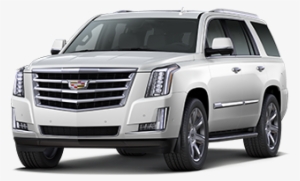 2018 Escalade Luxury Jellybean