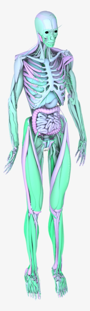 Tumblr Mr8epo9kxr1s4z1sao1 1280 - Seapunk