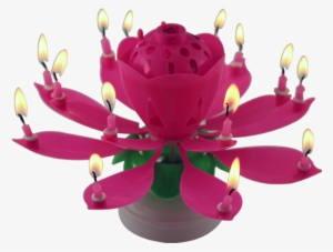 Top-seller Amazing Singing Opening Lotus Flower Candle - Birthday