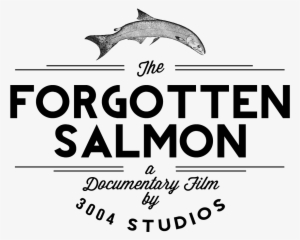 Logo Theforgottensalmon - User Guide