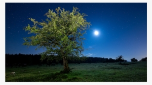 Sky Grass Night Background
