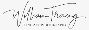 William Trang Photography William Trang Photography - Calligraphy