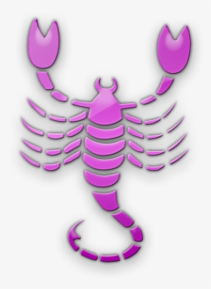 Scorpio Clipart Scorpion Animal - Scorpio Png Pink