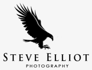 Logo Logo Logo - Logo