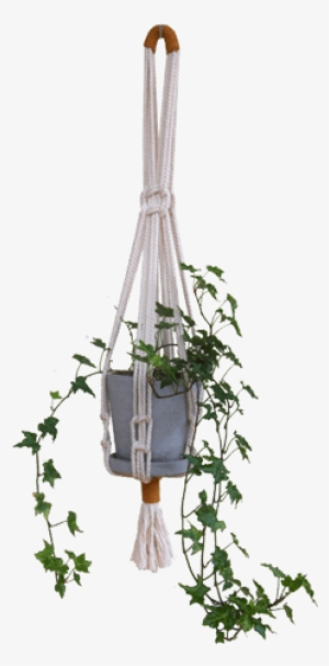 Modern Macrame Planter Hanger - Macrame Plant Hanger Png