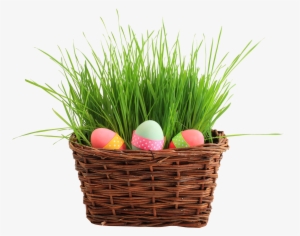 Easter Egg Basket Png Transparent Image - Happy Belated Birthday Kay