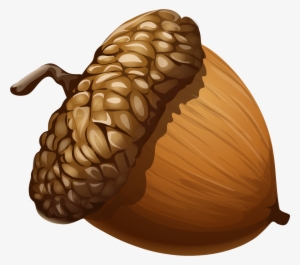 Acorn Png Clipart Picture - Acorn Png