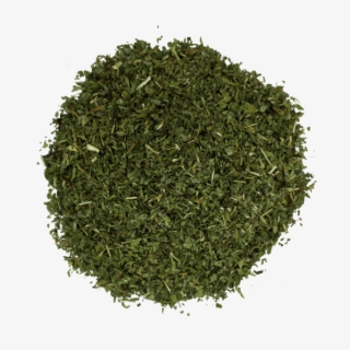 Red Clover Herb