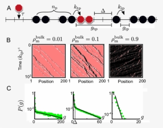A) Schematic Illustration Of The Rules Of The Brm