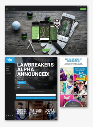 Digital Surgeons Web Design Landing Page For Arccos,