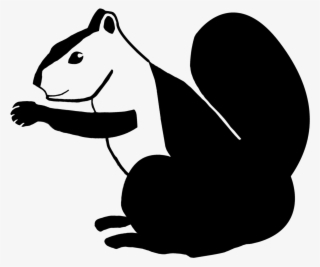 Animal, Squirrel, Sciuridae, Nature, Rodent