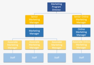 Through This Organizational Structure It Is Shown How